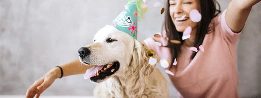 Tag des Hundes in Deutschland am 12./13. Juni 2021