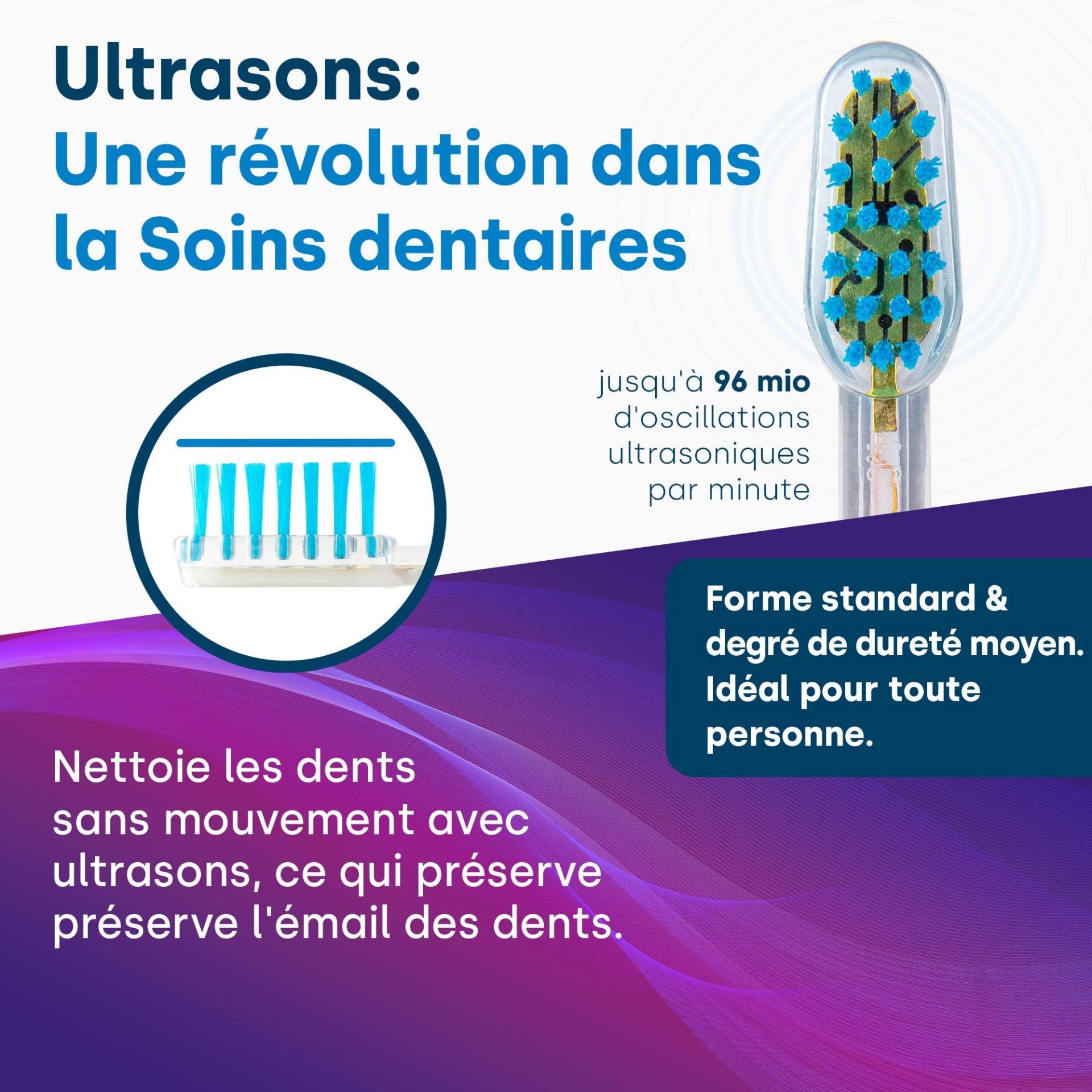 Têtes de brosse fines