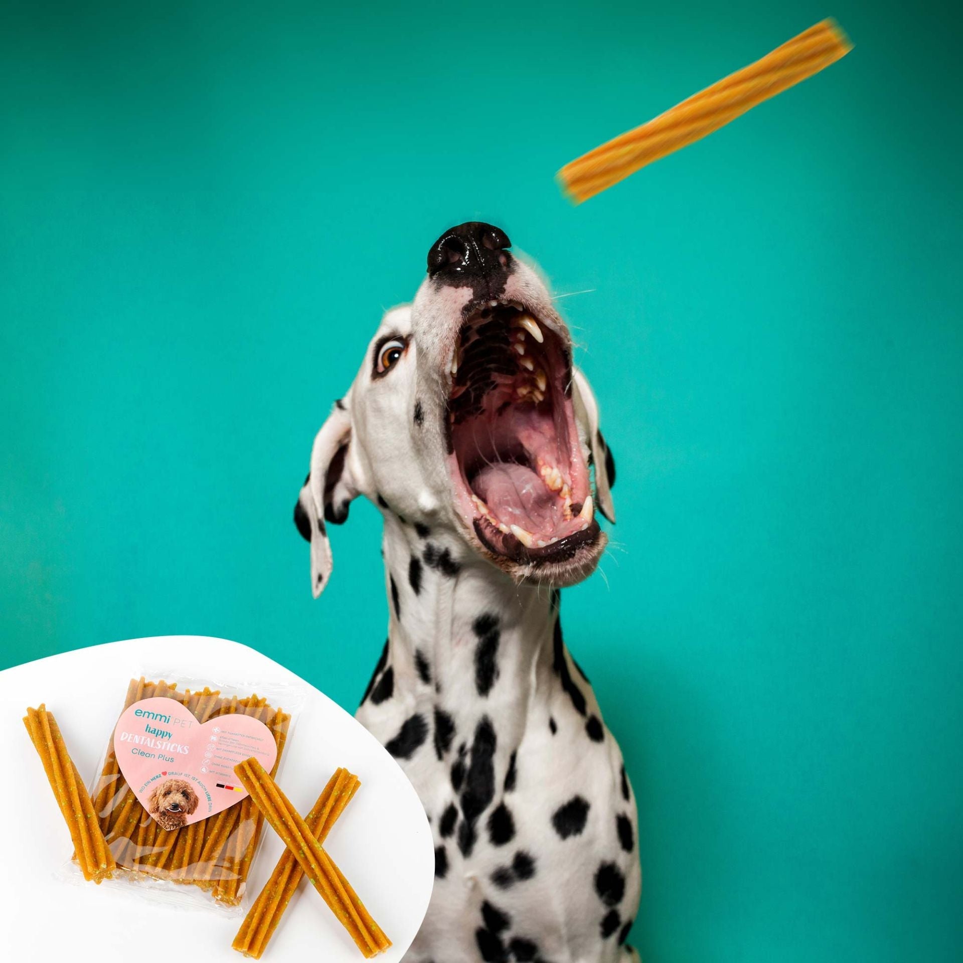 Dental Sticks All-Rounder Set