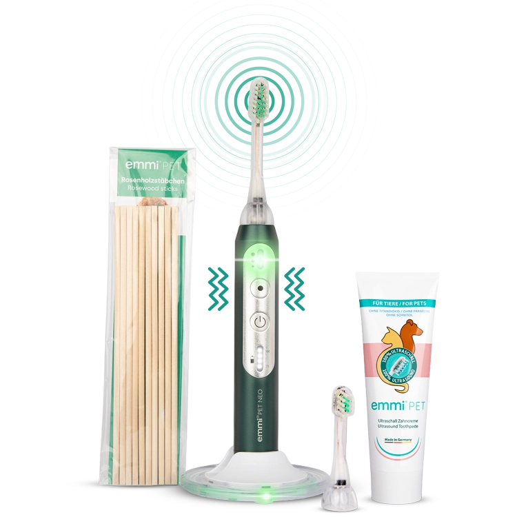 Cepillo de dientes ultrasónico NEO