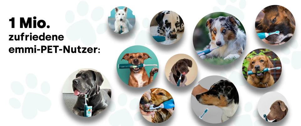 1 Mio. zufriedene emmi-PET-Nutzer