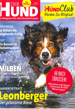 https://emmi-pet.es/media/04/f2/cd/1665669963/der_hund_092018.jpg?ts=1683644973