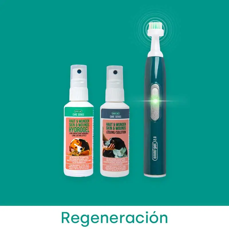 Regeneración