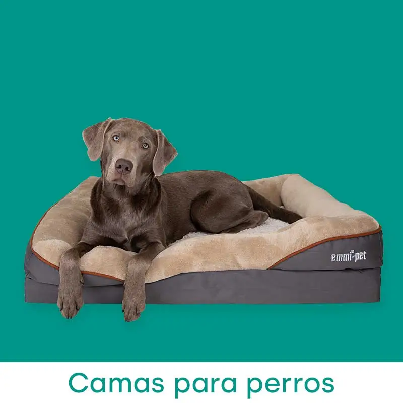 Camas para perros